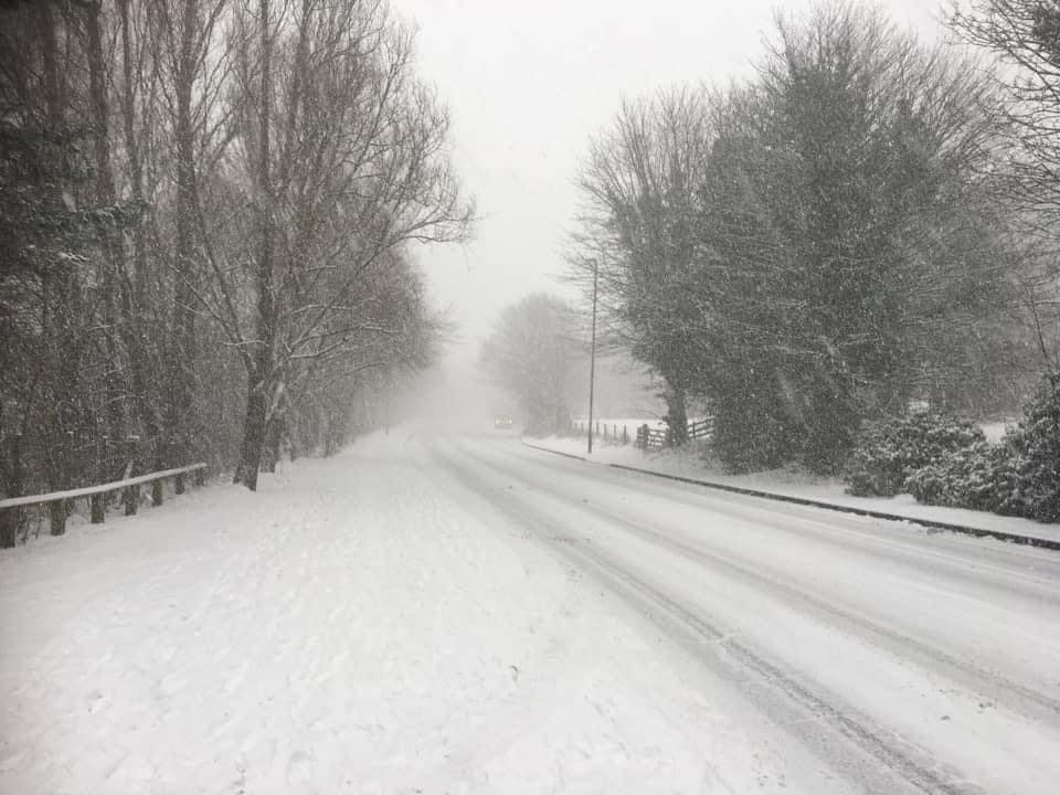 Snow photograph with wintry background